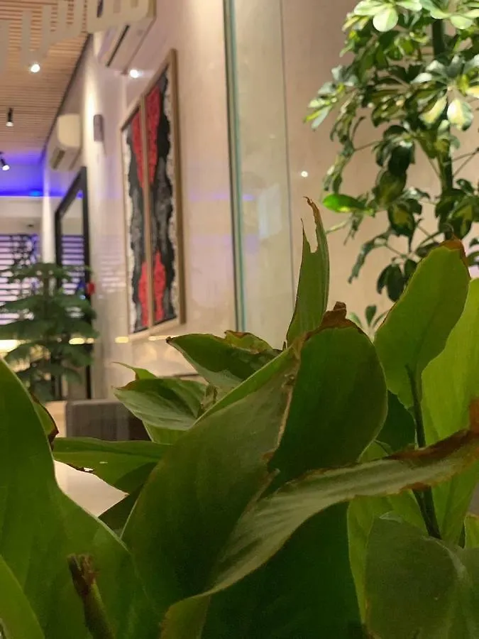 SAS RTL Hotel Medina